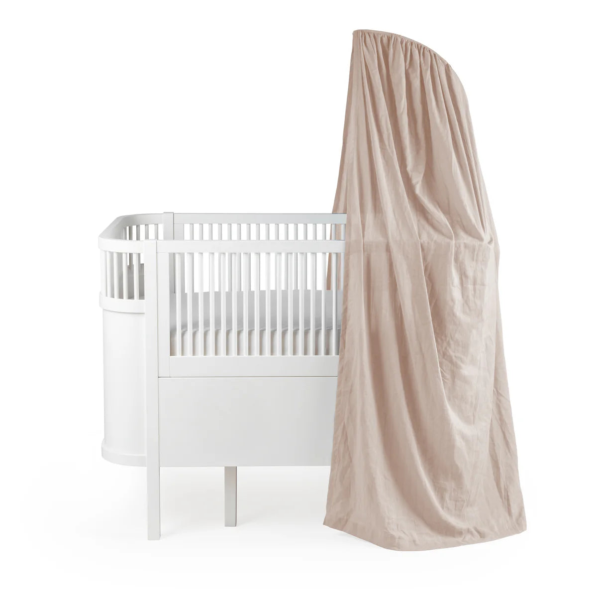 Zebra, Himmelskrona, Björkros