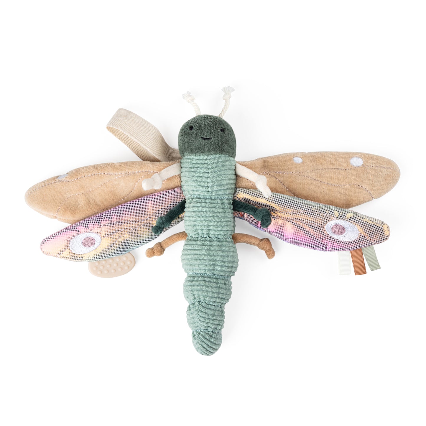 Zebra, Activation Toy, Dragonfly