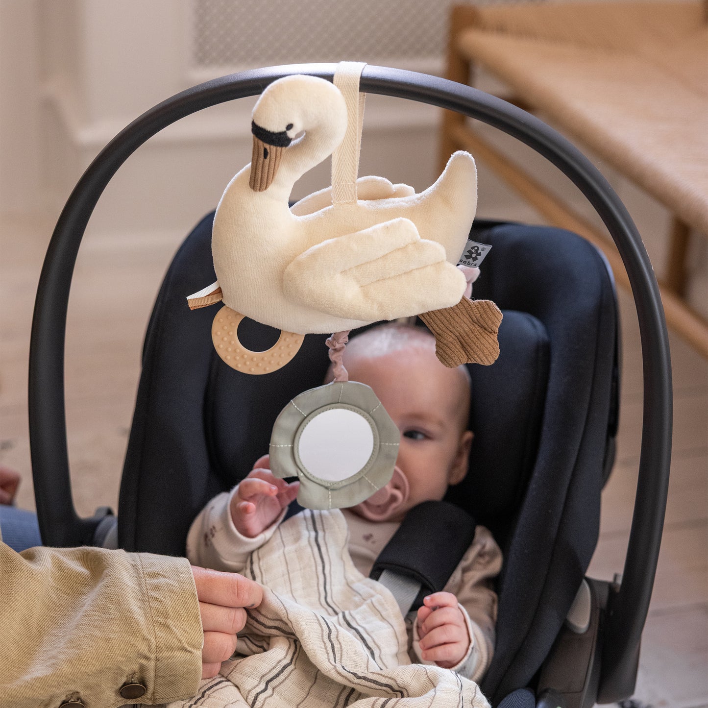 Sebra, Aktivointilelu, Creamy White Swan