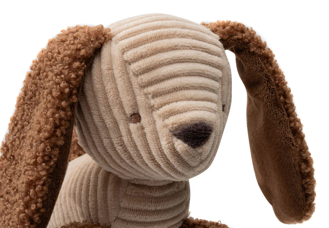 Jollein, Vaunulelu, Diego