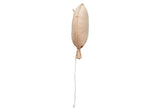 Jollein, Balloon, Biscuit