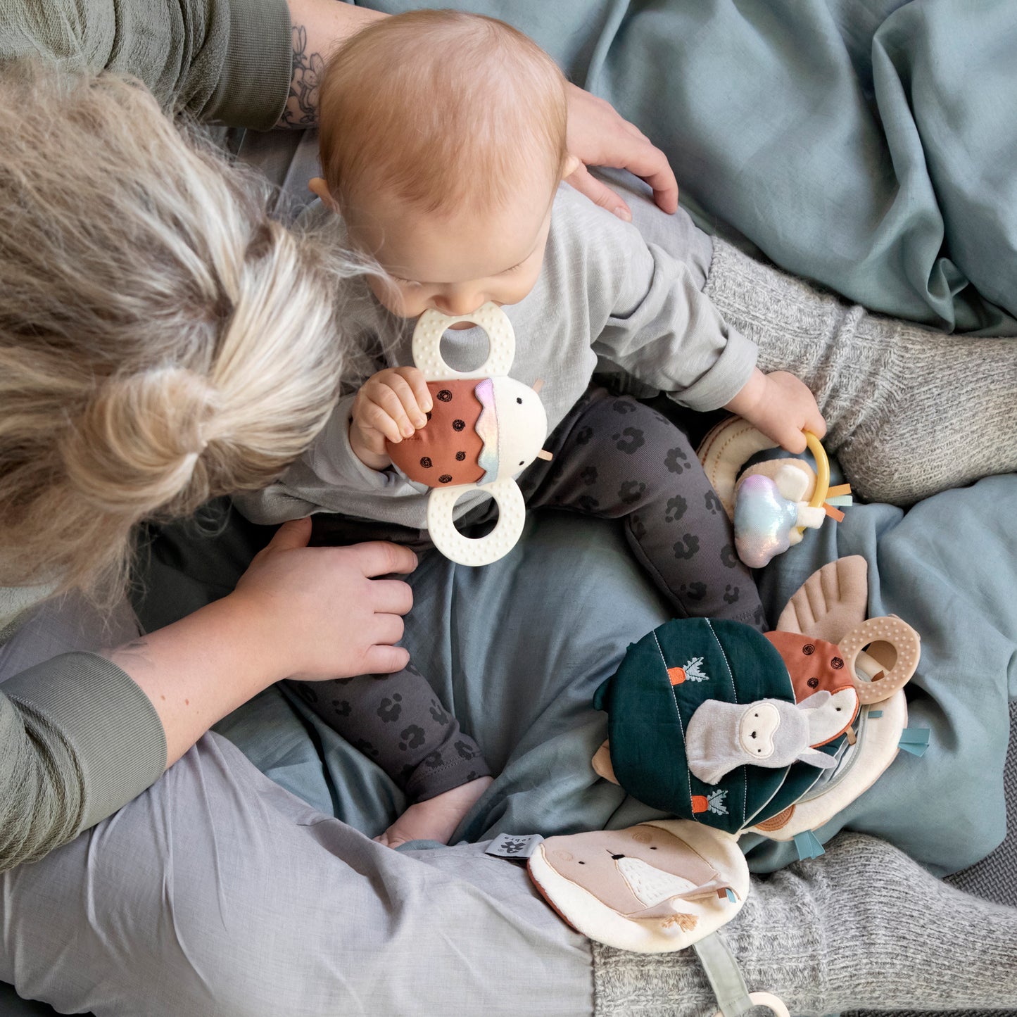 Sebra, Purulelu&Helistin, Luca the ladybird