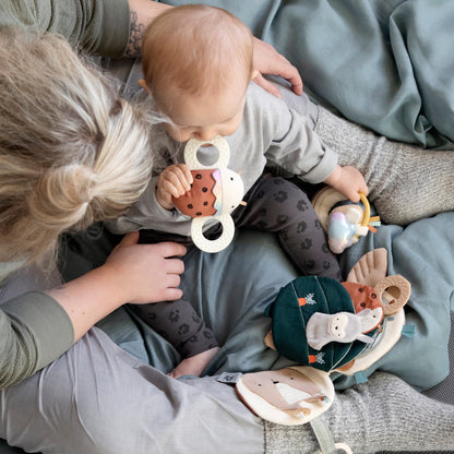 Sebra, Purulelu&Helistin, Luca the ladybird