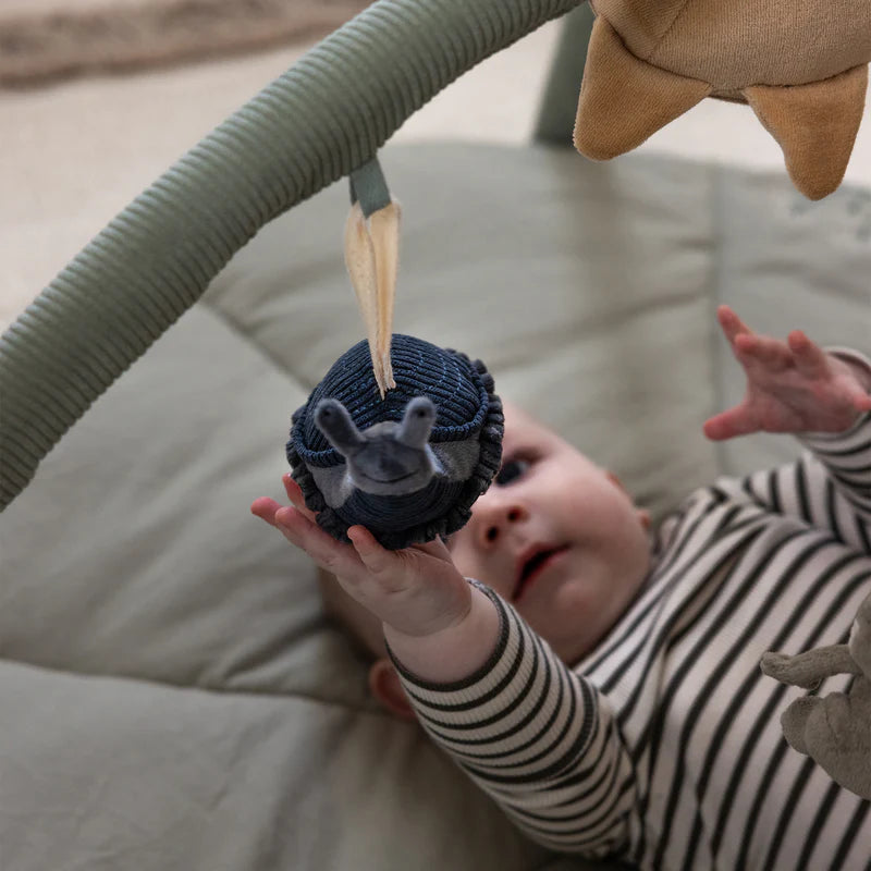 Sebra, Aktivointilelu 3 kpl, Dusty Green