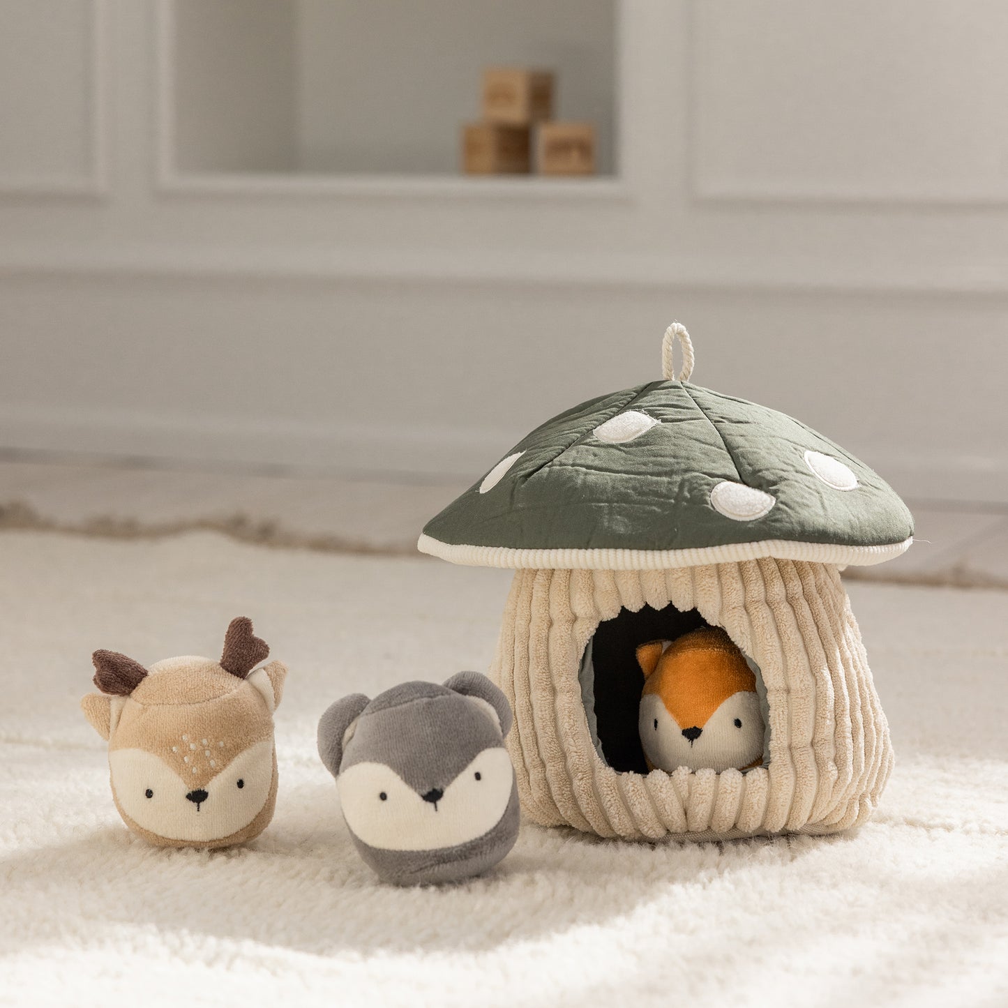 Zebra, Kurragömma, Svamp