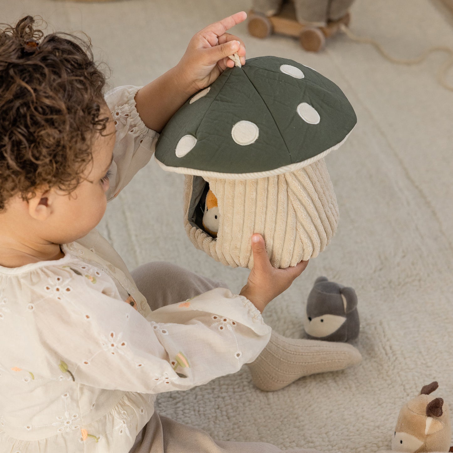 Zebra, Kurragömma, Svamp