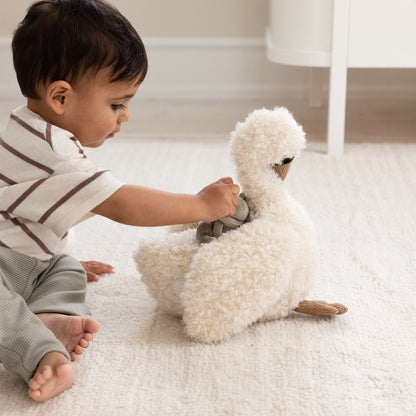 Sebra, Aktivointilelu, Swan