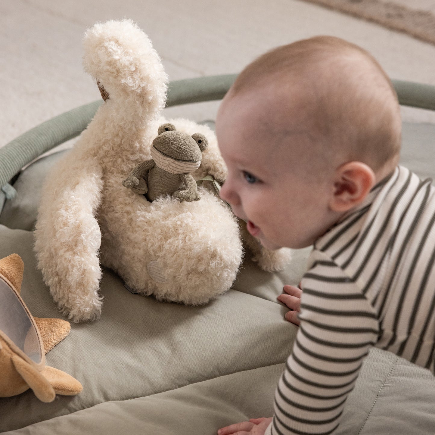 Sebra, Aktivointilelu, Swan