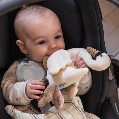 Sebra, Aktivointilelu, Creamy White Swan