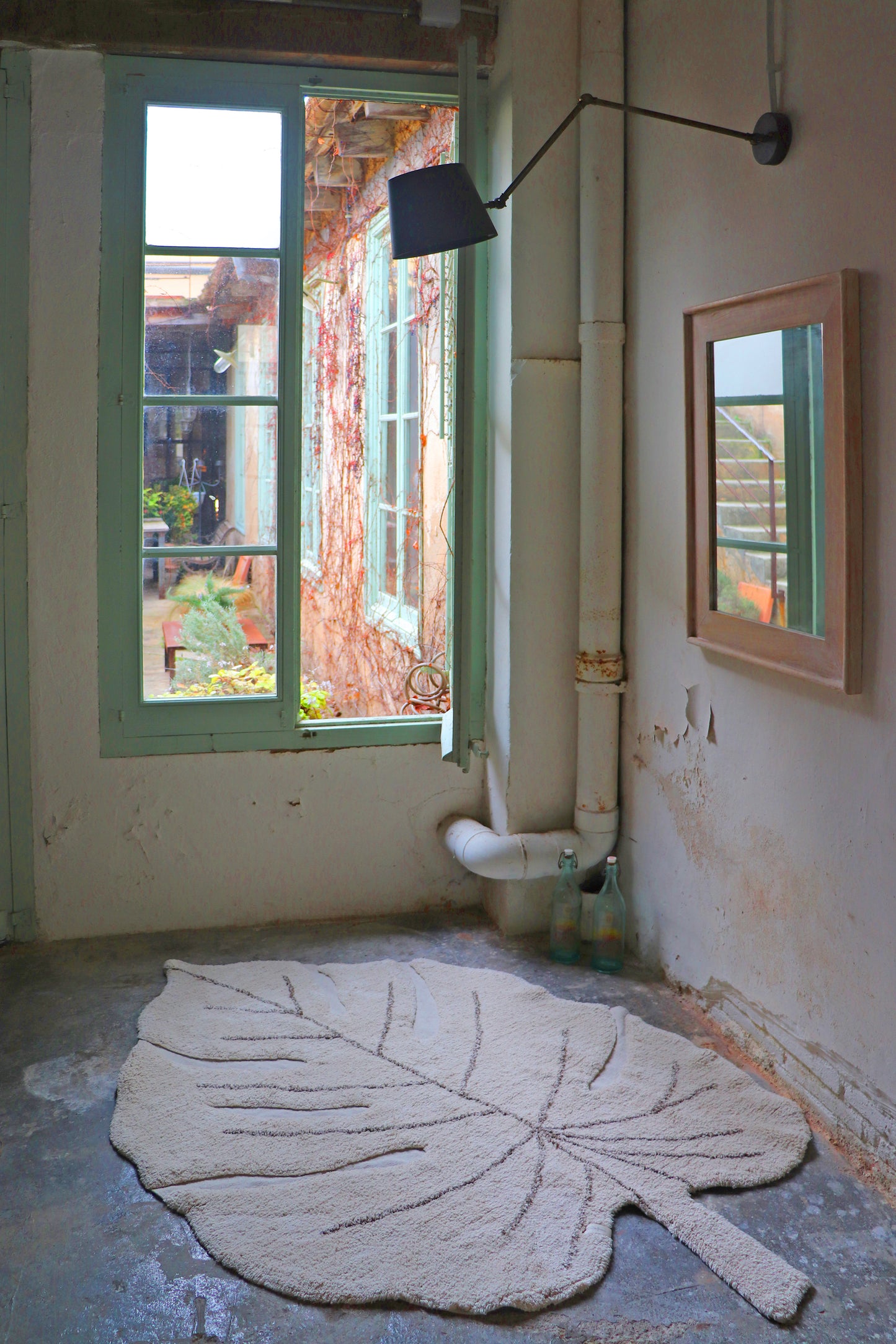 Plants, Pestävä Matto, Monstera Natural