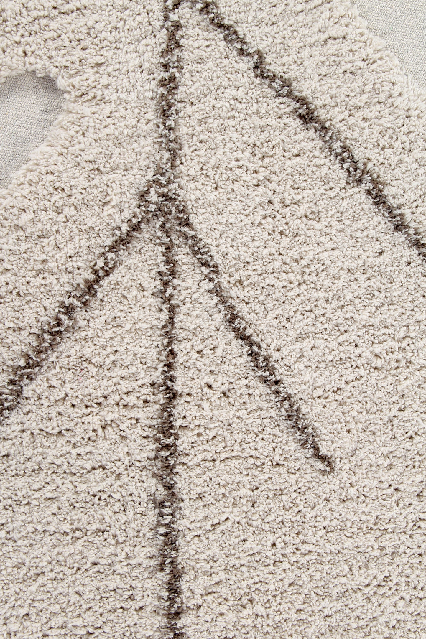 Plants, Pestävä Matto, Monstera Natural