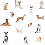 Dekornik, Dogs are the best, Tapetti