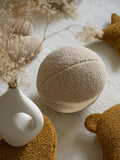 Wigiwama Pallotyyny, Biscuit