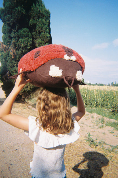Petals&Pals, Lattiatyyny, Ladybug