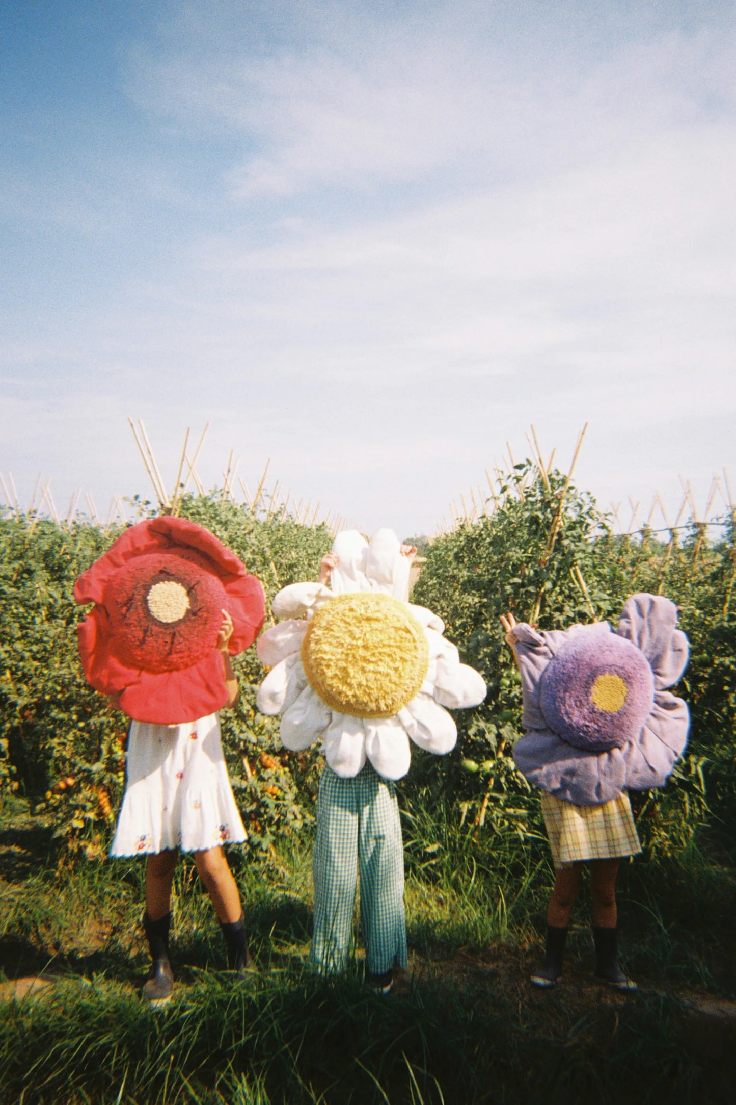 Petals&Pals, Lattiatyyny, Red Poppy
