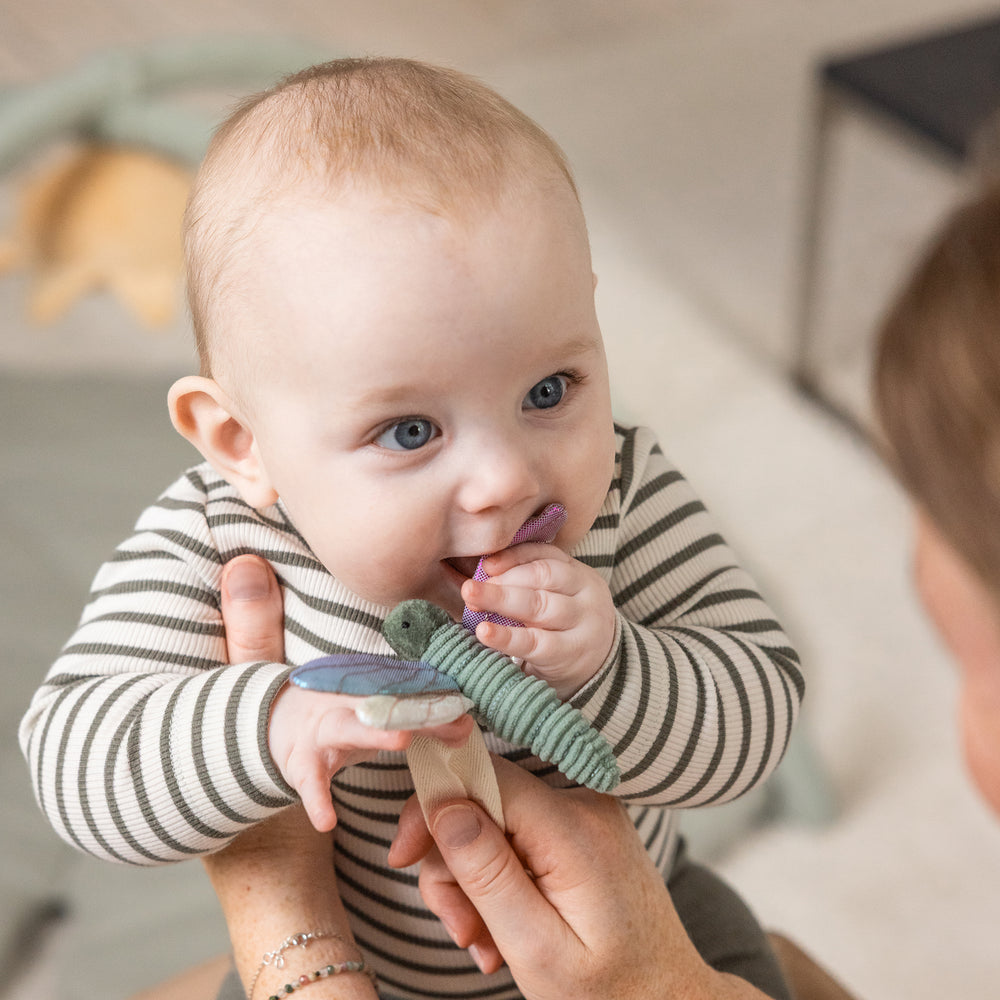 Sebra, Aktivointilelu 3 kpl, Swan&Dragonfly