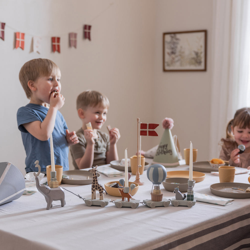 Sebra, Syntymäpäiväjuna, World of Sebra