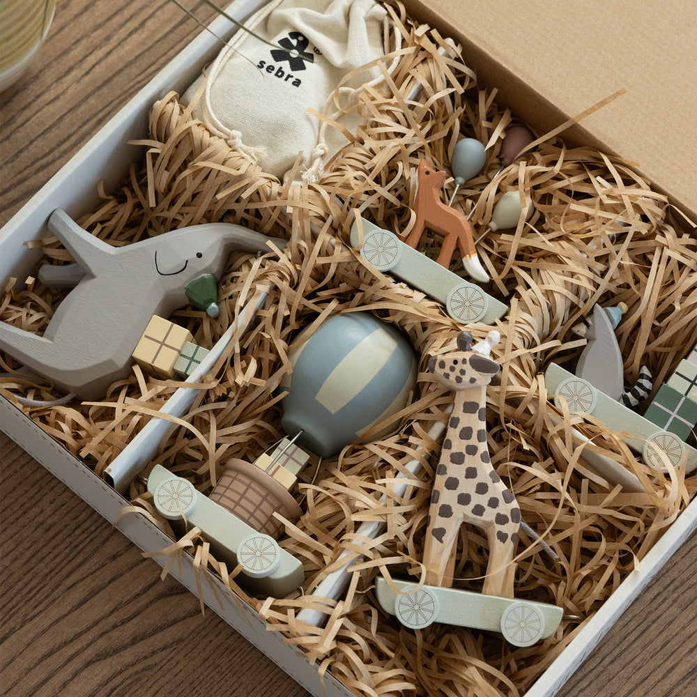 Sebra, Syntymäpäiväjuna, World of Sebra