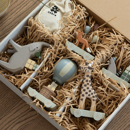 Sebra, Syntymäpäiväjuna, World of Sebra