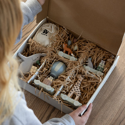 Sebra, Syntymäpäiväjuna, World of Sebra