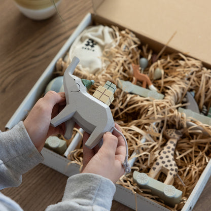 Sebra, Syntymäpäiväjuna, World of Sebra