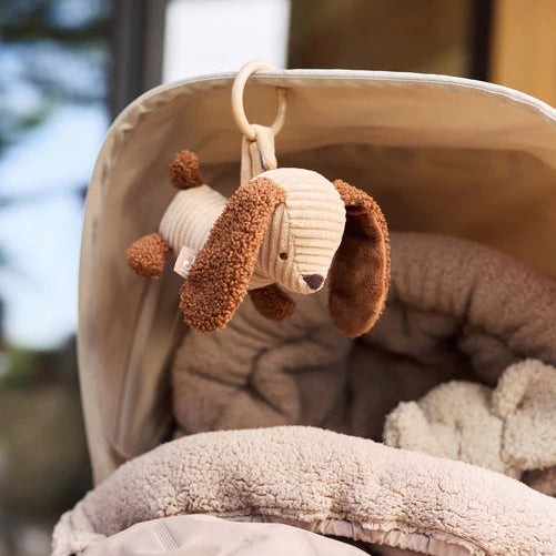 Jollein, Vaunulelu, Diego