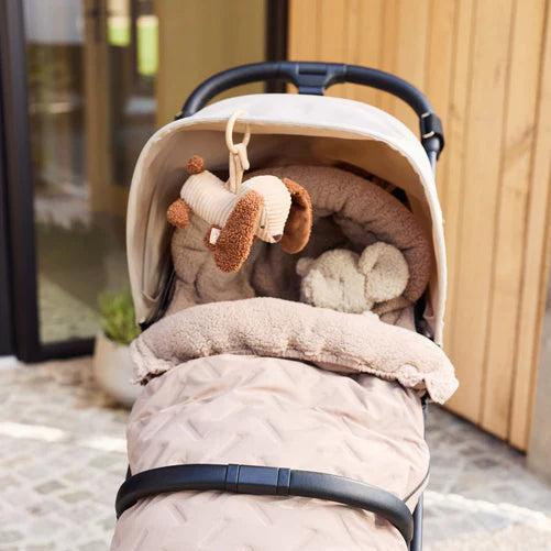 Jollein, Vaunulelu, Diego