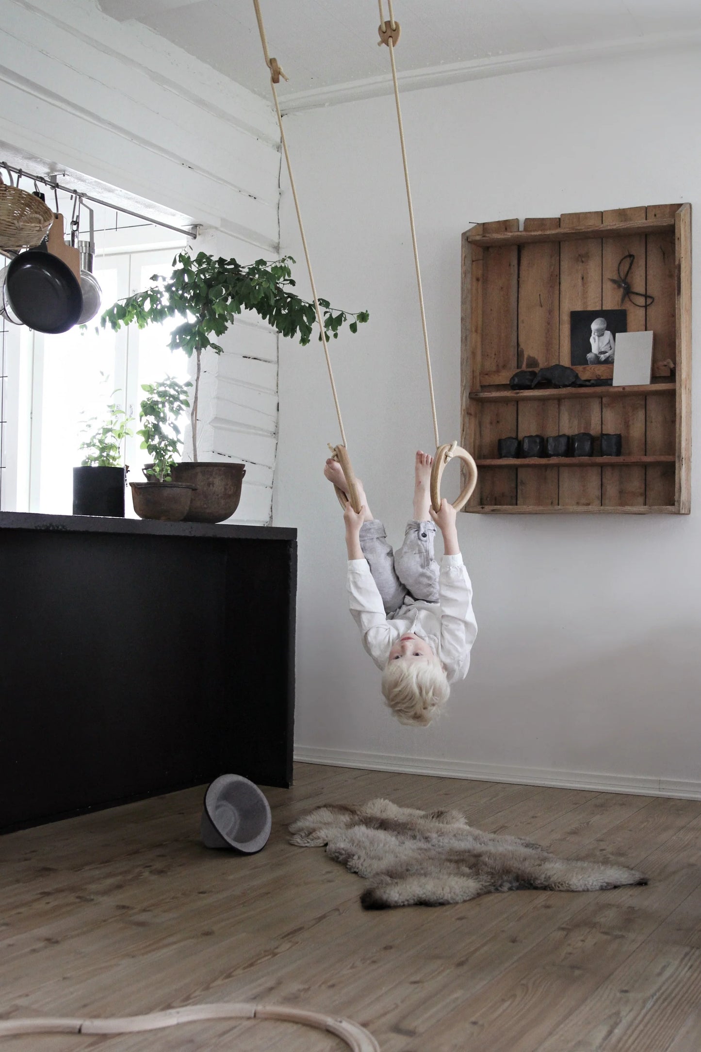 FITWOOD, Voimistelurenkaat, Rings