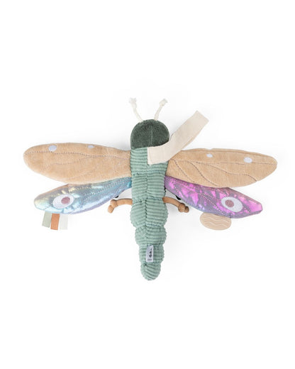 Zebra, Activation Toy, Dragonfly