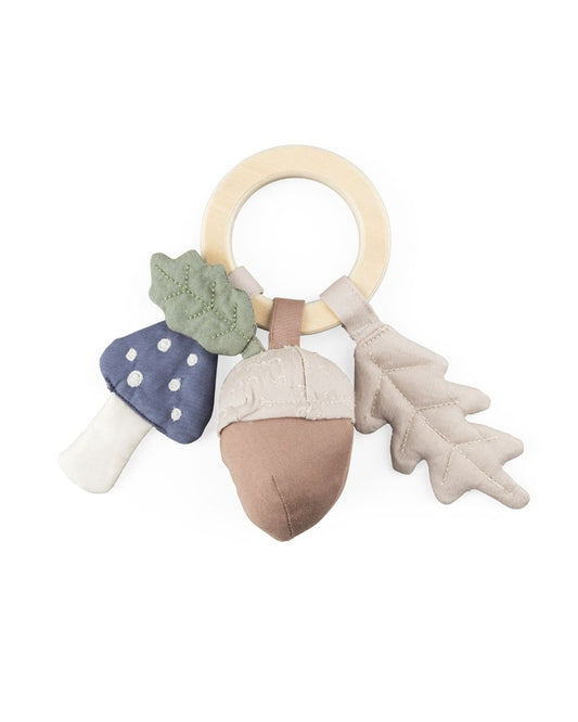 Zebra, Activity toy, Acorn