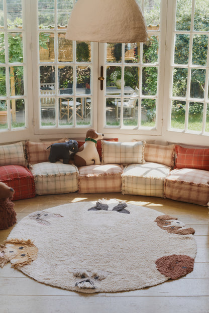 Washable Rug, Dogs