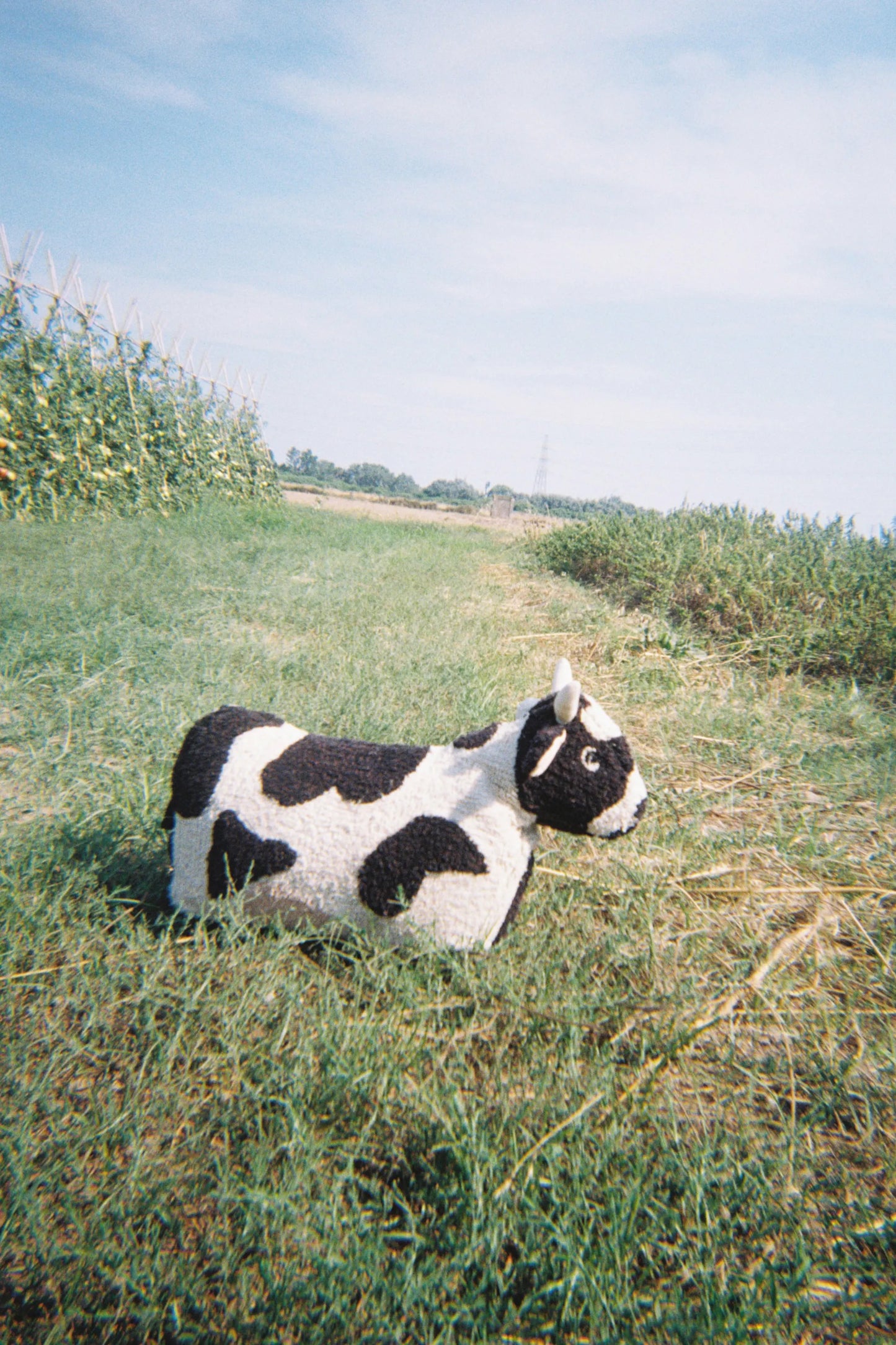 Petals&Pals, Lattiatyyny, Lola the Cow