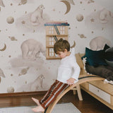 Dekornik, Bears Universe, Tapetti