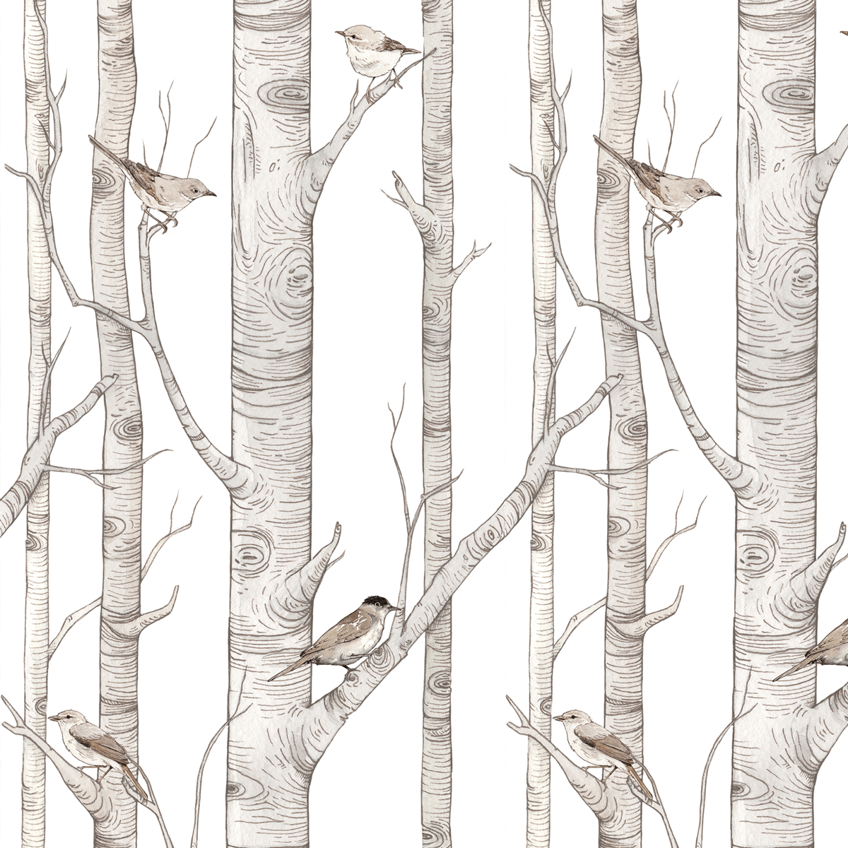 Birch Forest, Tapetti