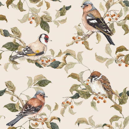 Birds Autumn, Wallpaper