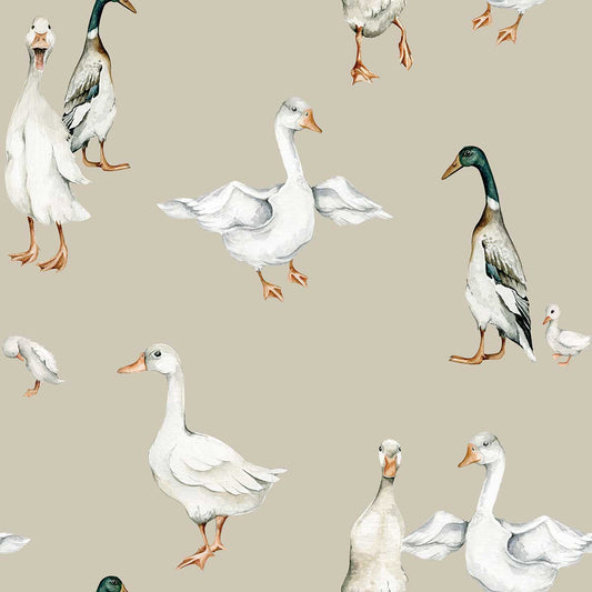White Duck, Wallpaper