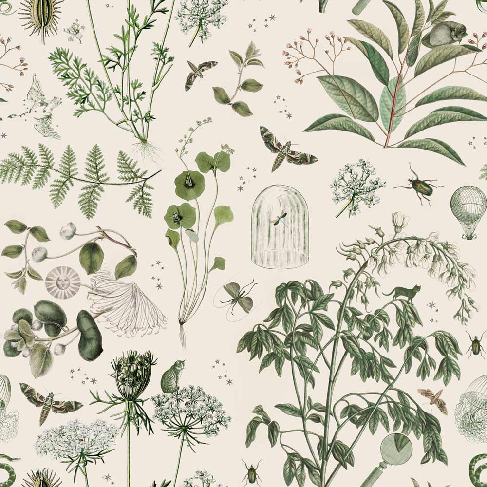 Green Botanical Stories, Wallpaper