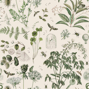 Green Botanical Stories, Tapetti