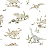 Happy Dinos, Tapetti