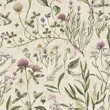 Vintage Illustration, Tapetti