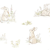 Rabbit Day Classic, Tapetti