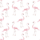 Flamingos, Tapetti