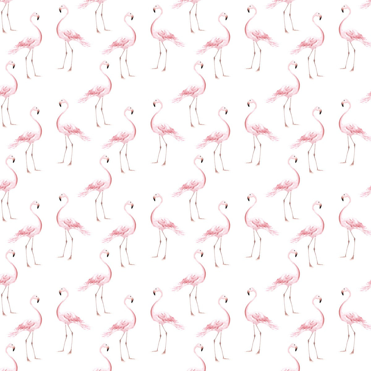 Flamingos, Wallpaper