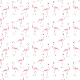 Flamingos, Tapetti